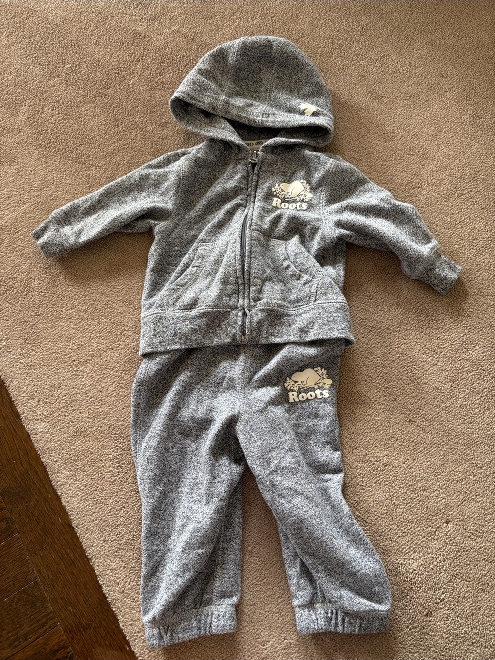 Roots Kids Gray Hooded Sweatshirt and Joggers Set